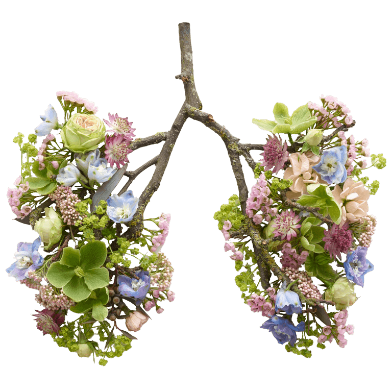 Floral representation of lungs